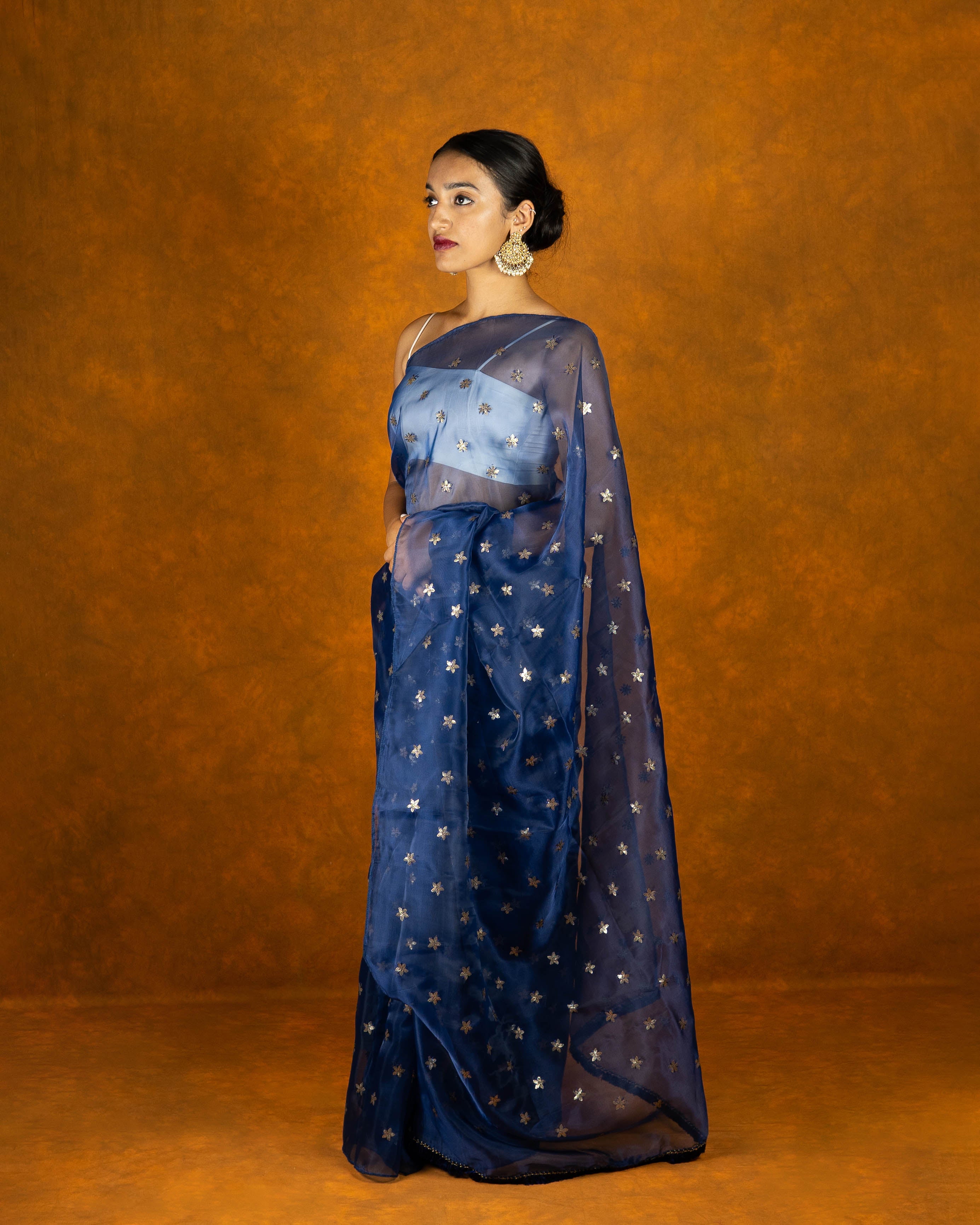 Blue organza embroidery Saree
