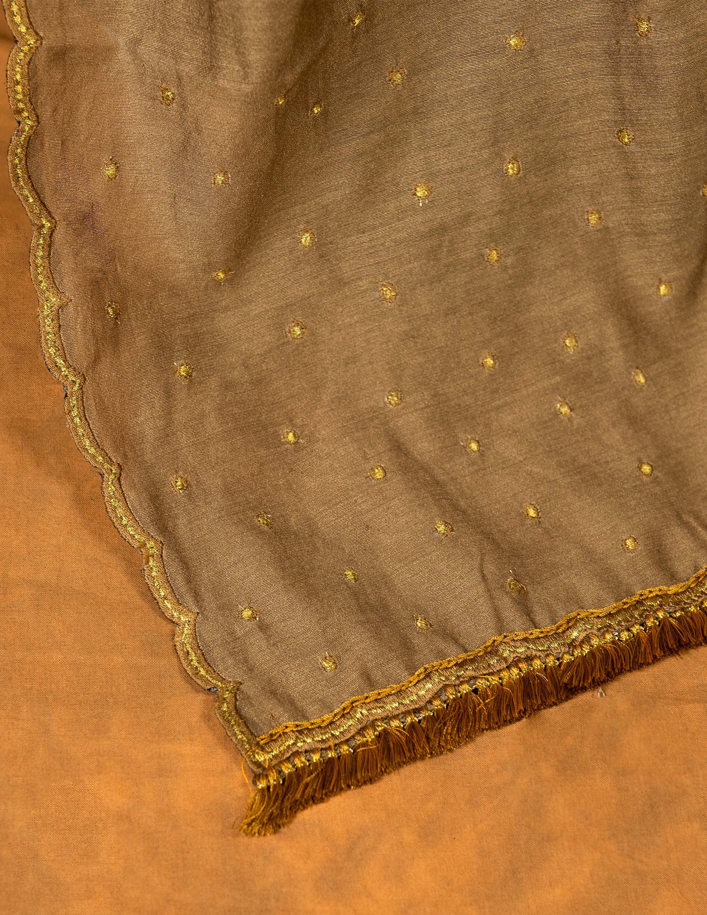 Cinnamon brown silk blend embroidered saree