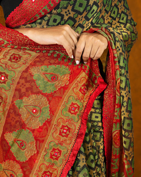 Multicolor brasso embroidery saree with tassels and mirror work image 3