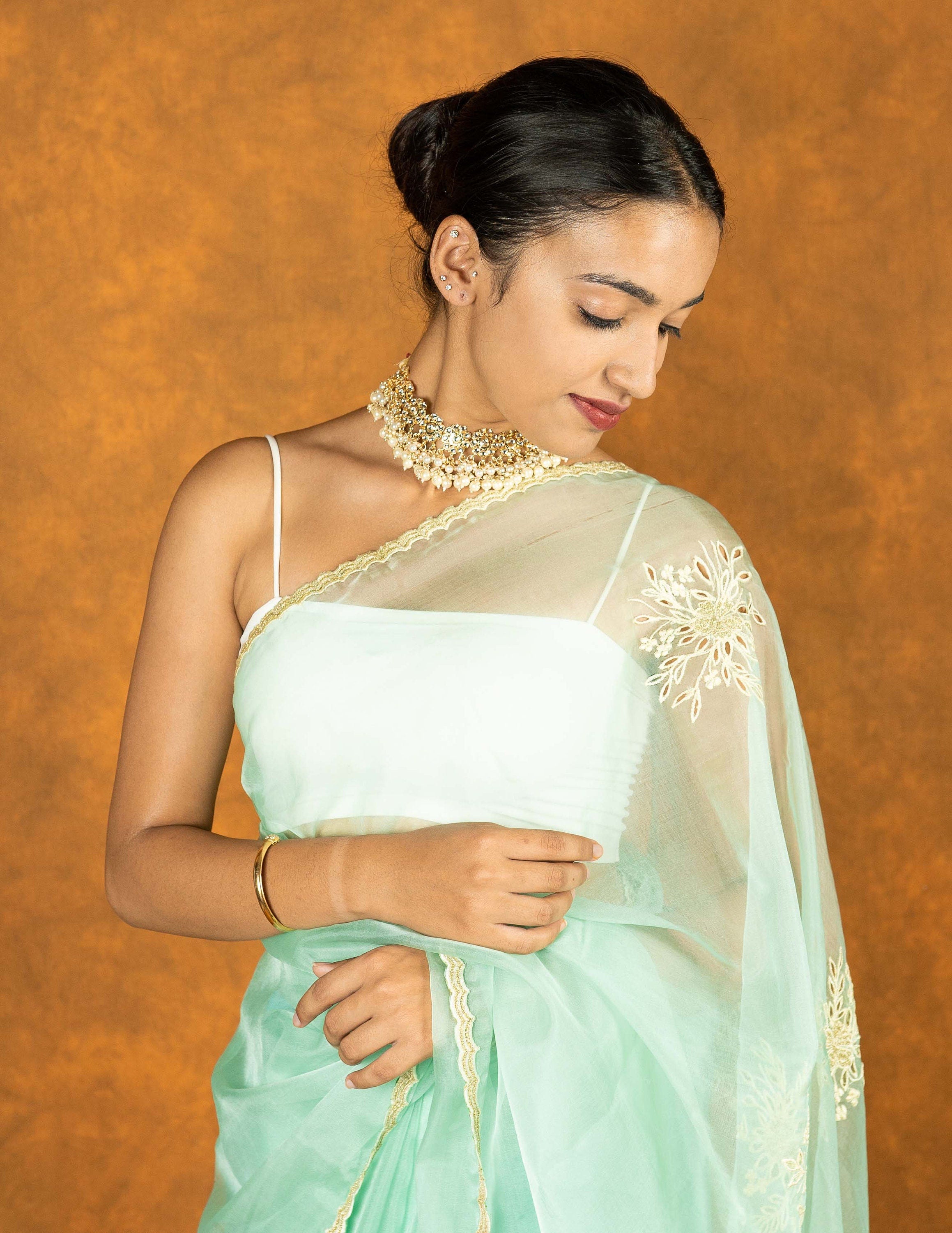 Electric blue organza silk hand embroidered saree