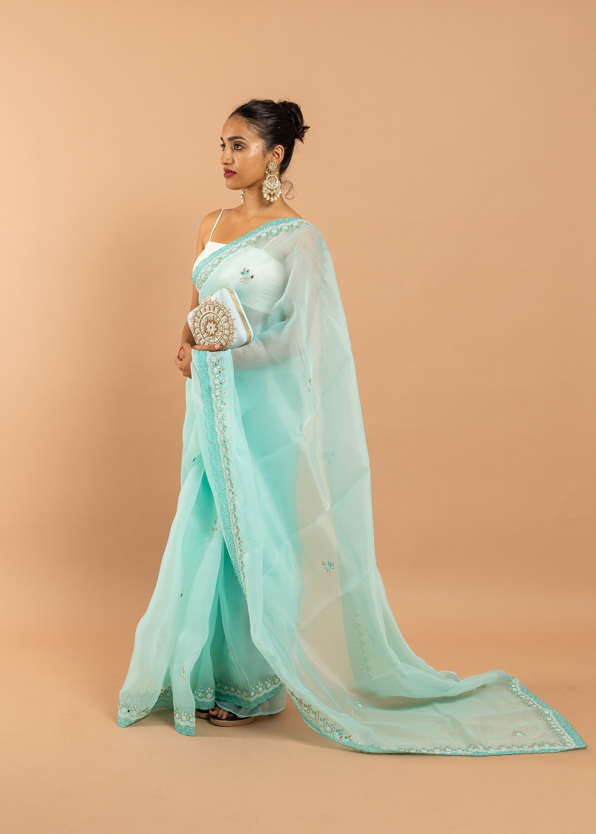 Powder blue organza saree with silk thread and glasswork saree and beads embroidery