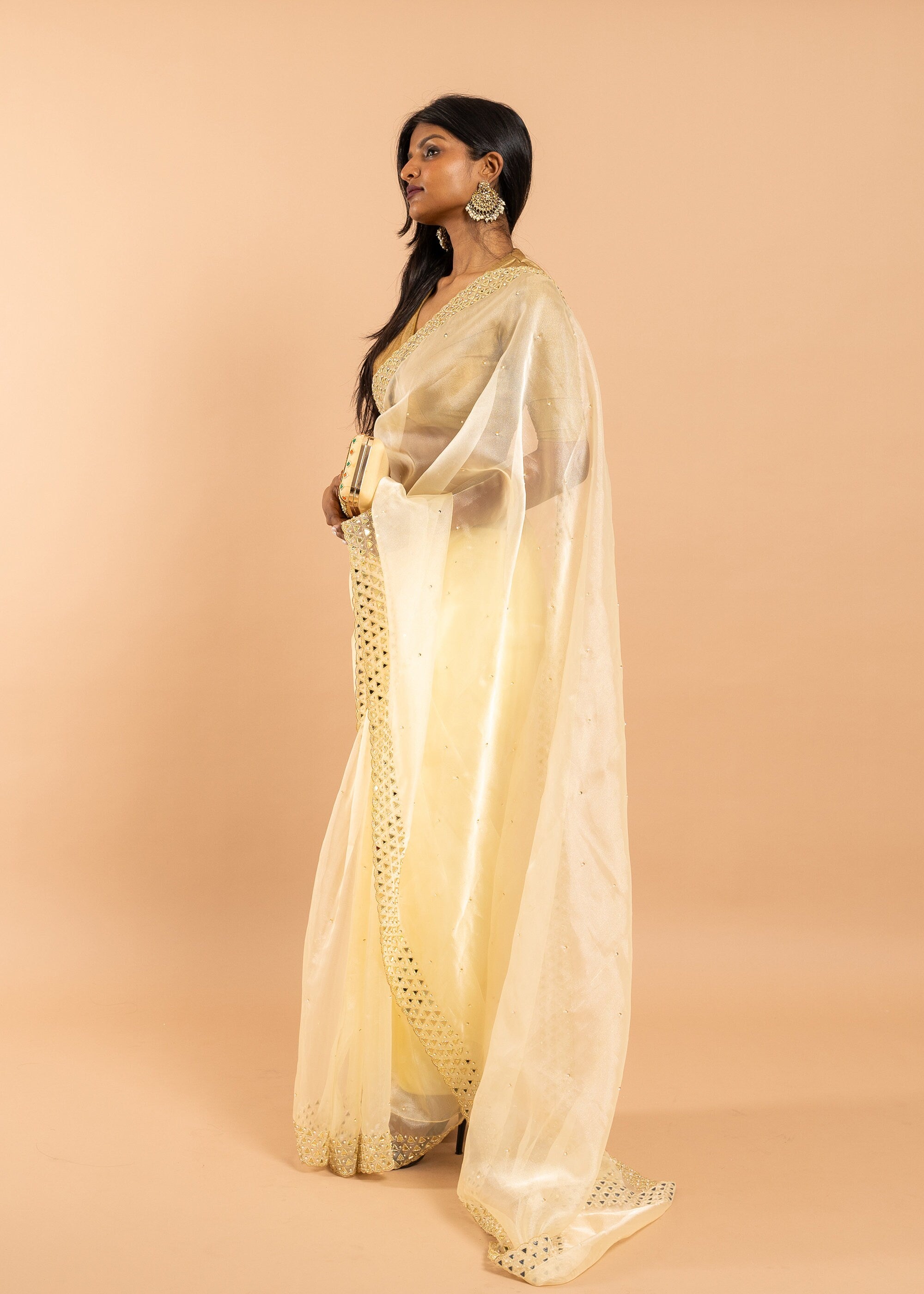 Gold Organza saree with gold glasswork thread and zari handwork and beads embroidery