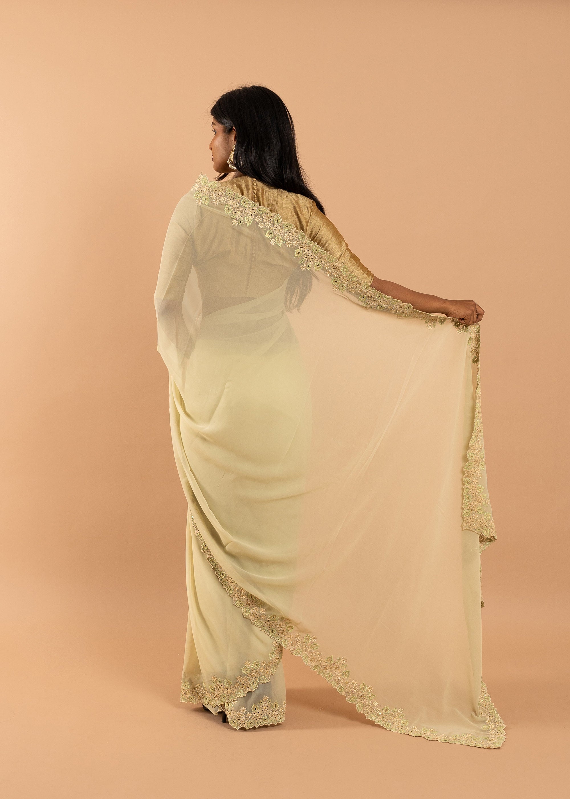Pista green georgette saree with silk thread and beads handwork embroidery