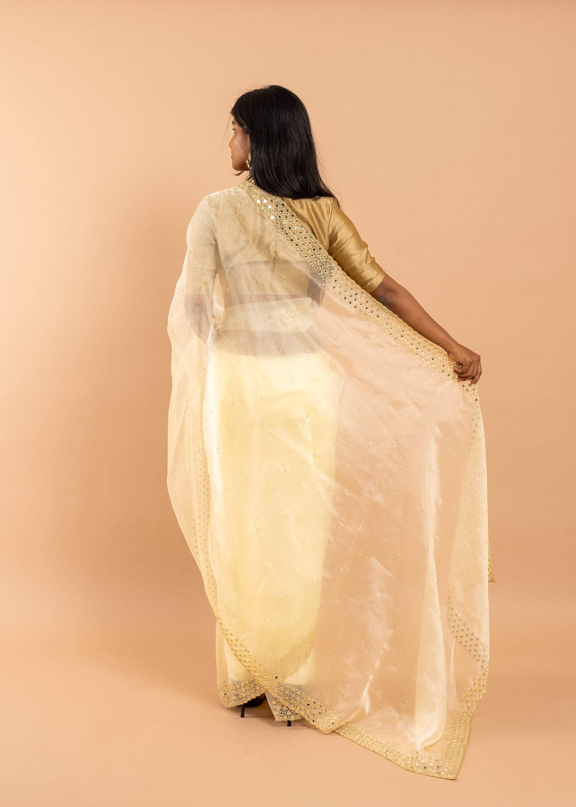 Gold Organza saree with gold glasswork thread and zari handwork and beads embroidery