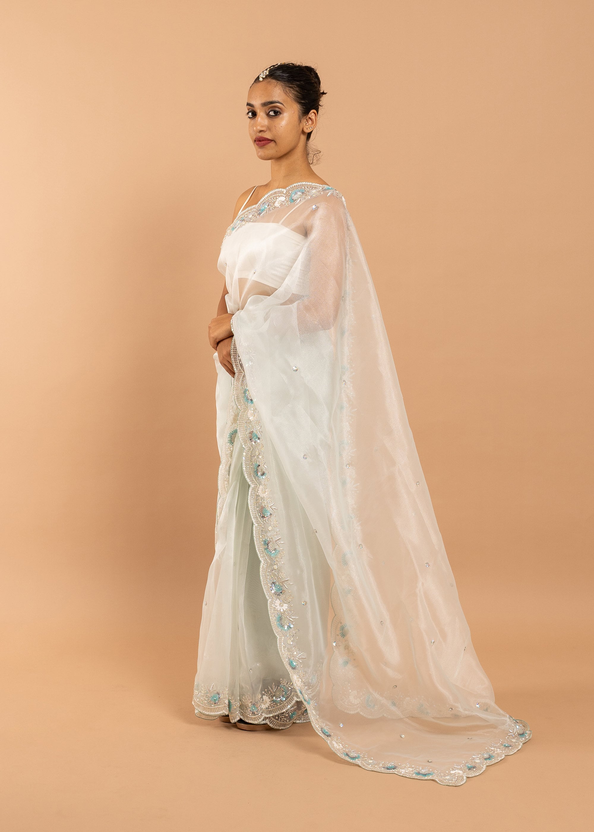 Organza saree with silk thread and sequins handwork  and beads embroidery