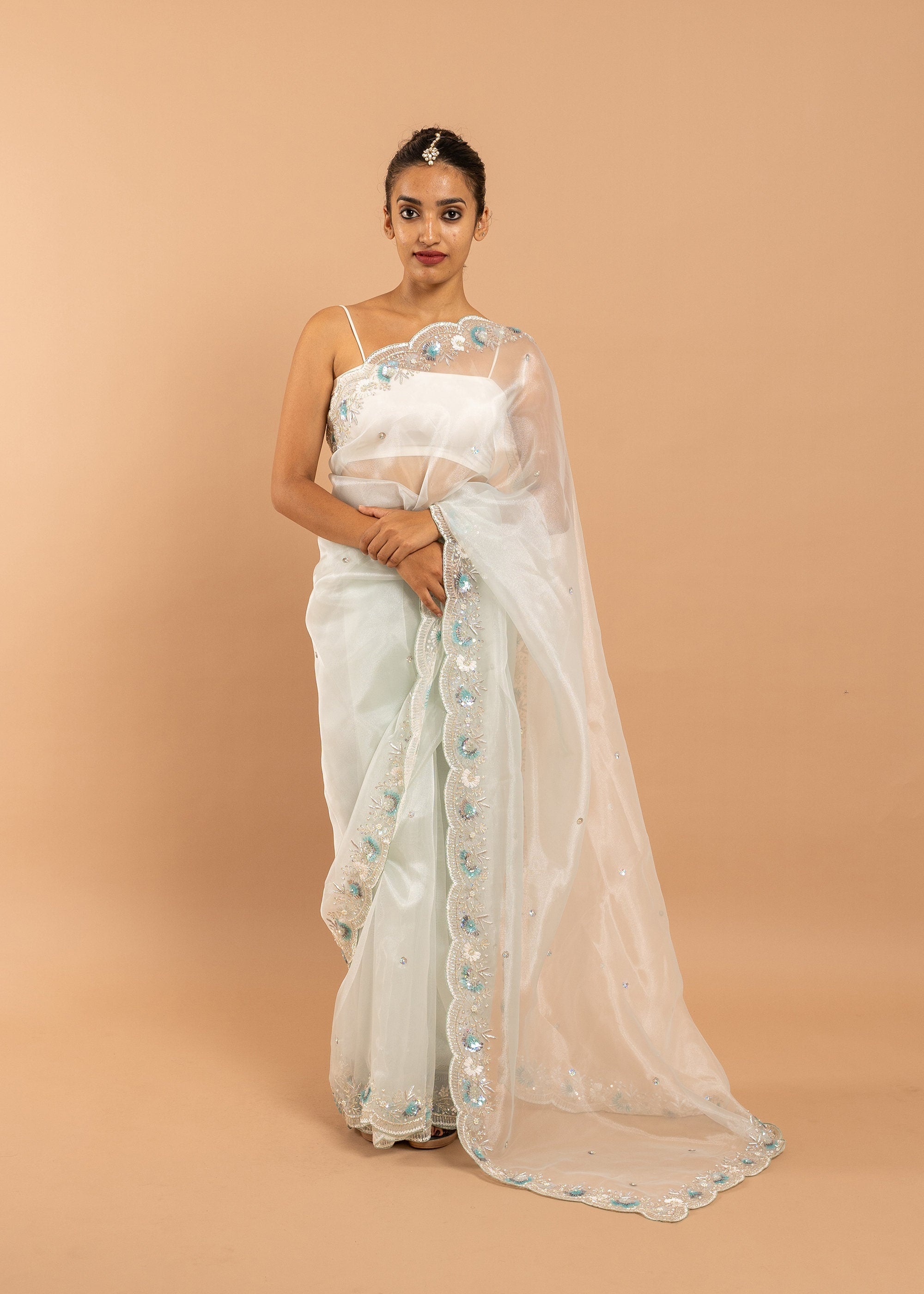Organza saree with silk thread and sequins handwork  and beads embroidery